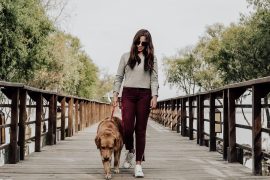 Hundespaziergang Augen schützen