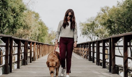 Hundespaziergang Augen schützen